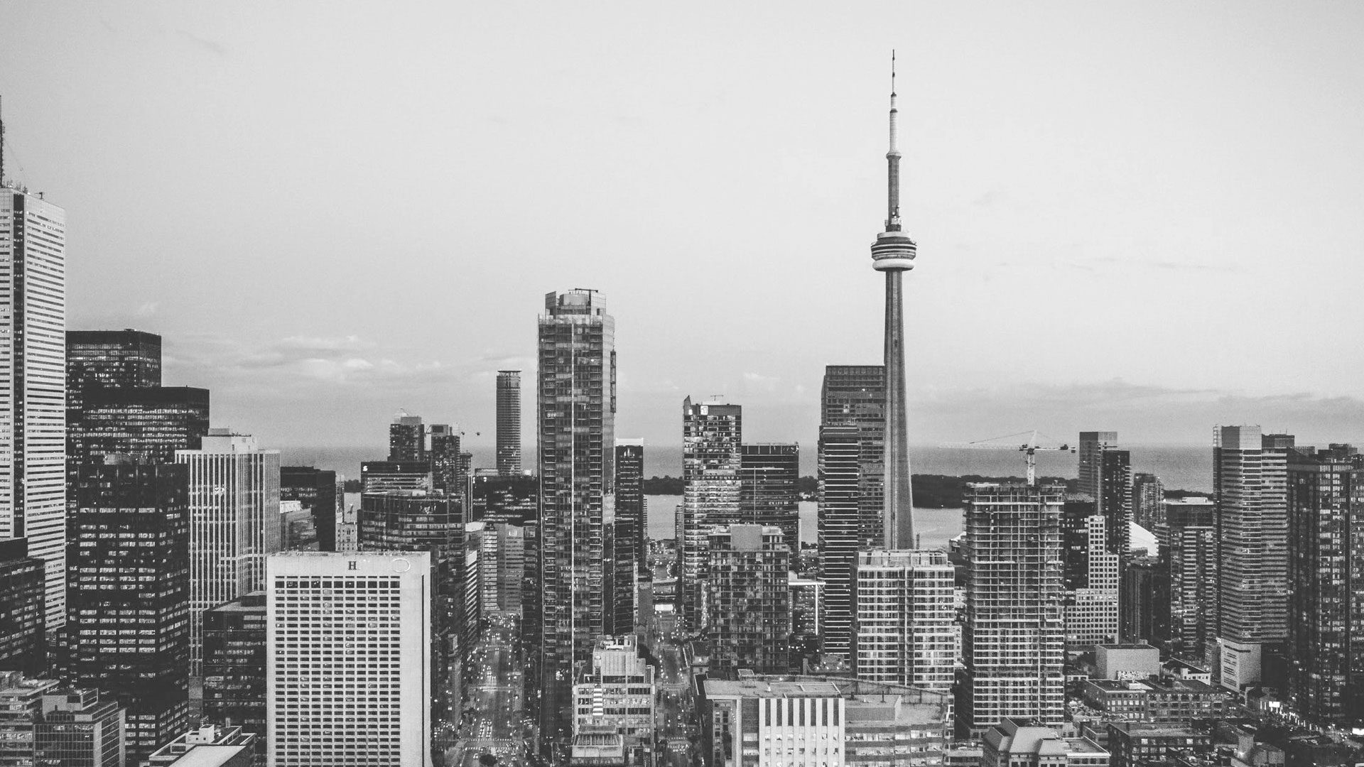 Private Equity Bro Avatar