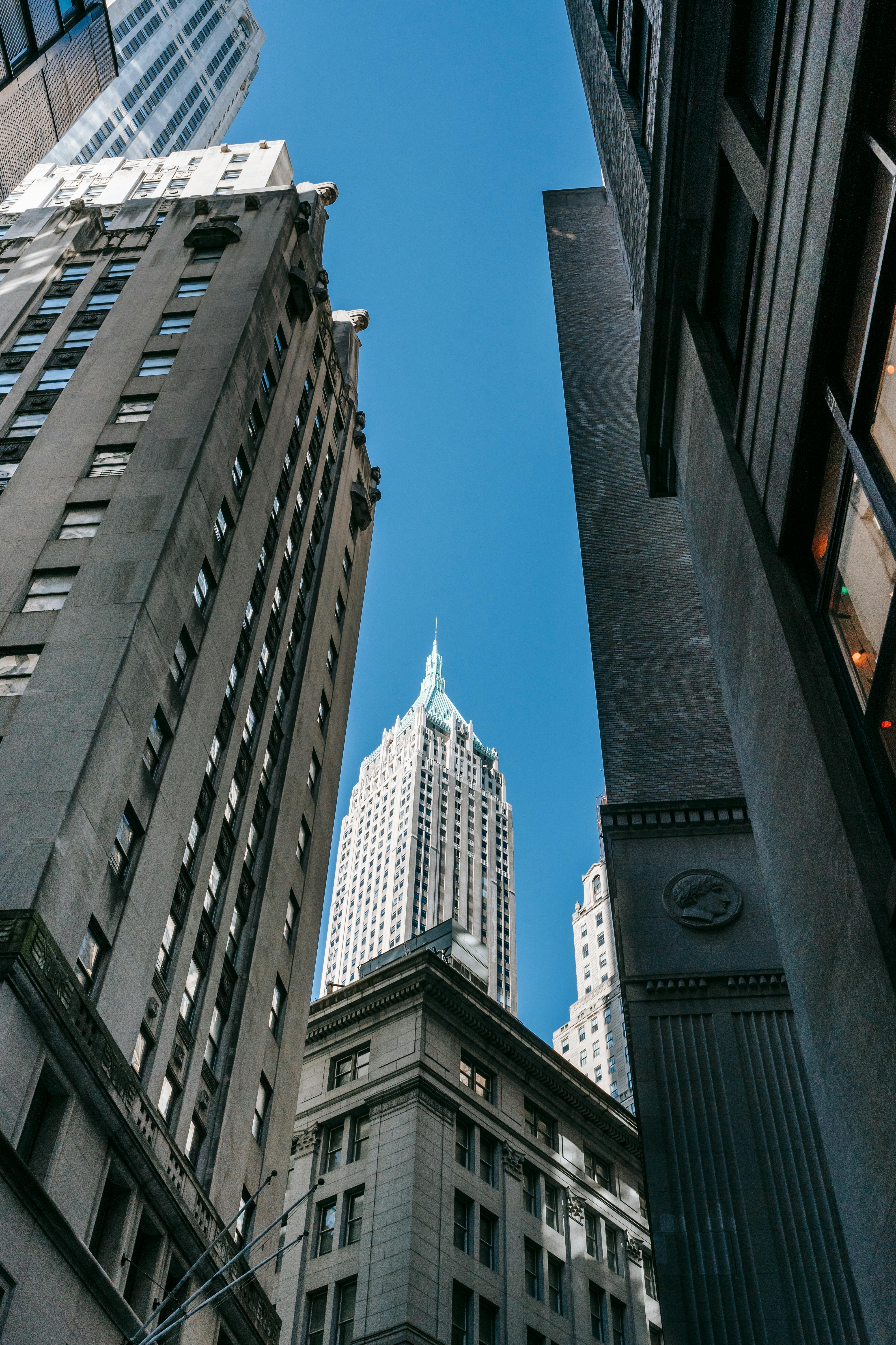 Private Equity Bro Avatar