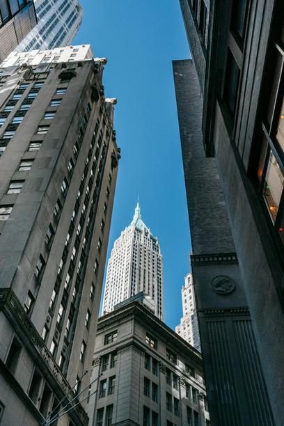 Private Equity Bro Avatar