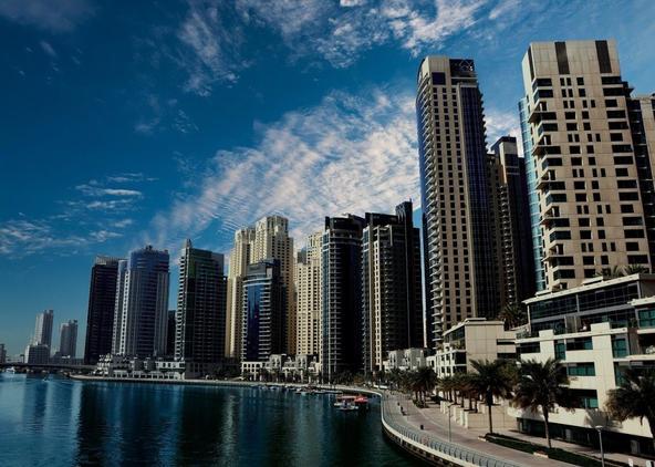 Private Equity Bro Avatar